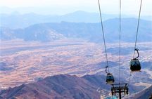 Full-day Taif tour with lunch from Jeddah