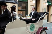 Vienna sightseeing tour in an electric vintage car with vegan meal