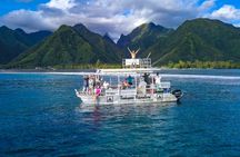 Tahitian peninsula sightseeing tour