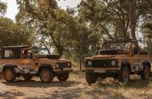 Half day safari private tour in Algarve