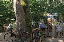 Full-day guided hiking tour Santa Scolastica with tasting Norcia