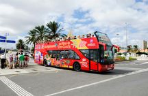 Sightseeing bus tour of Las Palmas de Gran Canaria with 1-day access