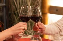 Wine experience with lunch or dinner in a farm vineyard