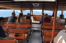Sirmione 4-hour guided boat cruise from Garda-Bardolino