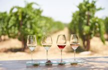 'Enoma wine tasting in Kos