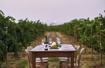Karpima wine tasting in Kos
