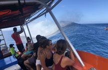 Teahupoo wave-watching boat tour