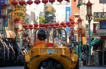 1-hour Chinatown Downtown Loop tour