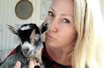 Baby goat snuggle session In Houston
