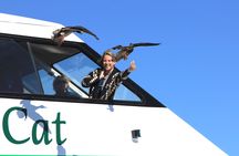 Scenic Cruise to the Ngātoroirangi Māori rock carvings with live fishing demonstration