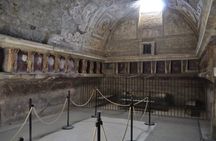 Pompeii and Vesuvius small group tour from Amalfi with skip-the-line tickets