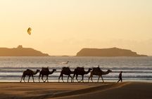 Private day trip to Essaouira from Marrakech