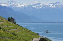 Cruise along Lavaux vineyards from Lausanne with audioguide
