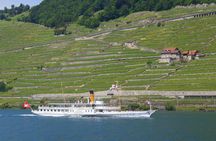 Cruise along Lavaux vineyards from Lausanne with audioguide