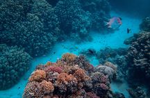 Mahmya Giftun Island sunset with full-day snorkeling cruise and beach in Hurghada