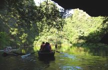 Tam Coc, Bich Dong pagoda and Bird Valley full-day tour from Hanoi