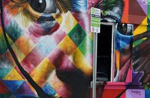 Best of Miami half-day tour