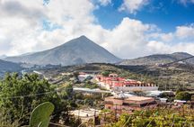 Full-day Taif tour with lunch from Jeddah