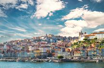 Porto tour by tuk-tuk and port wine cellar guided tour with tastings