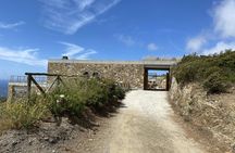 Wine tasting and visit to Ripalte design winery