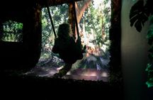 Ticket to AMAZE immersive audiovisual experience