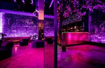 Ticket to AMAZE immersive audiovisual experience