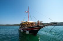 2-hour dolphins and panorama sailing experience from Poreč