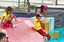 Angry Birds Activity Park entrance ticket