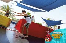 Angry Birds Activity Park entrance ticket
