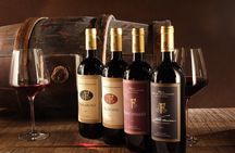 Premium wine tasting at Terre del Marchesato winery