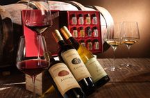 Sensory wine tasting at Terre del Marchesato winery