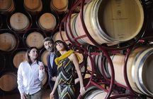 Premium wine tasting at Terre del Marchesato winery
