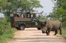 Kruger National Park morning private safari