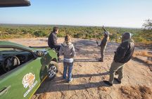 Kruger National Park full-day private safari