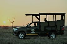 Kruger National Park full-day private safari