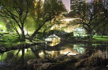 Big Apple in lights - NYC night tour