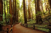 Alcatraz, Muir Woods and Golden Gate Bridge visit