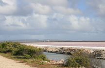 South Bonaire guided tour