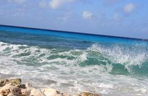 South Bonaire guided tour
