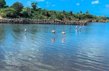 North Bonaire guided tour