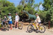 Cape Kamenjak guided bike experience