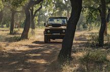 Sunset safari private tour in Algarve