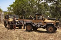 Sunset safari private tour in Algarve