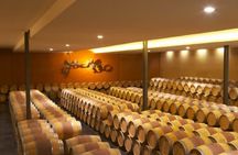 Blind vertical tour and tasting at Château Paloumey