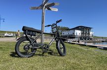 Texel electric fatbike rental