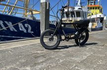 Texel electric fatbike rental