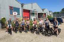Texel Solex electric moped rental