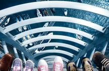 Spinnaker Tower entrance ticket