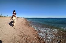 Three Pools snorkeling, 4x4 Oasis safari, camel ride, lunch in Dahab