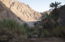 Three Pools snorkeling, 4x4 Oasis safari, camel ride, lunch in Dahab